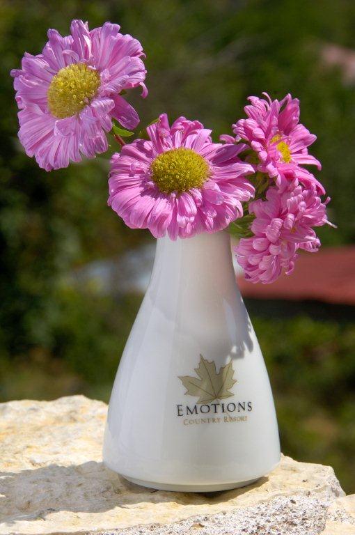 Emotions-branded vase with spring flowers